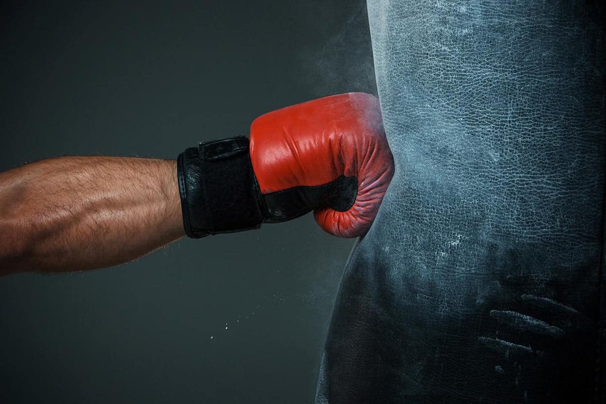 Boxing Bag Fight Back